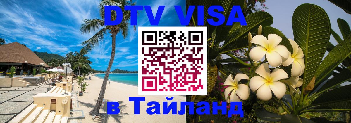 Сколько стоит DTV виза — актуальные цены, оформление даже без документов - 05.12.2025 